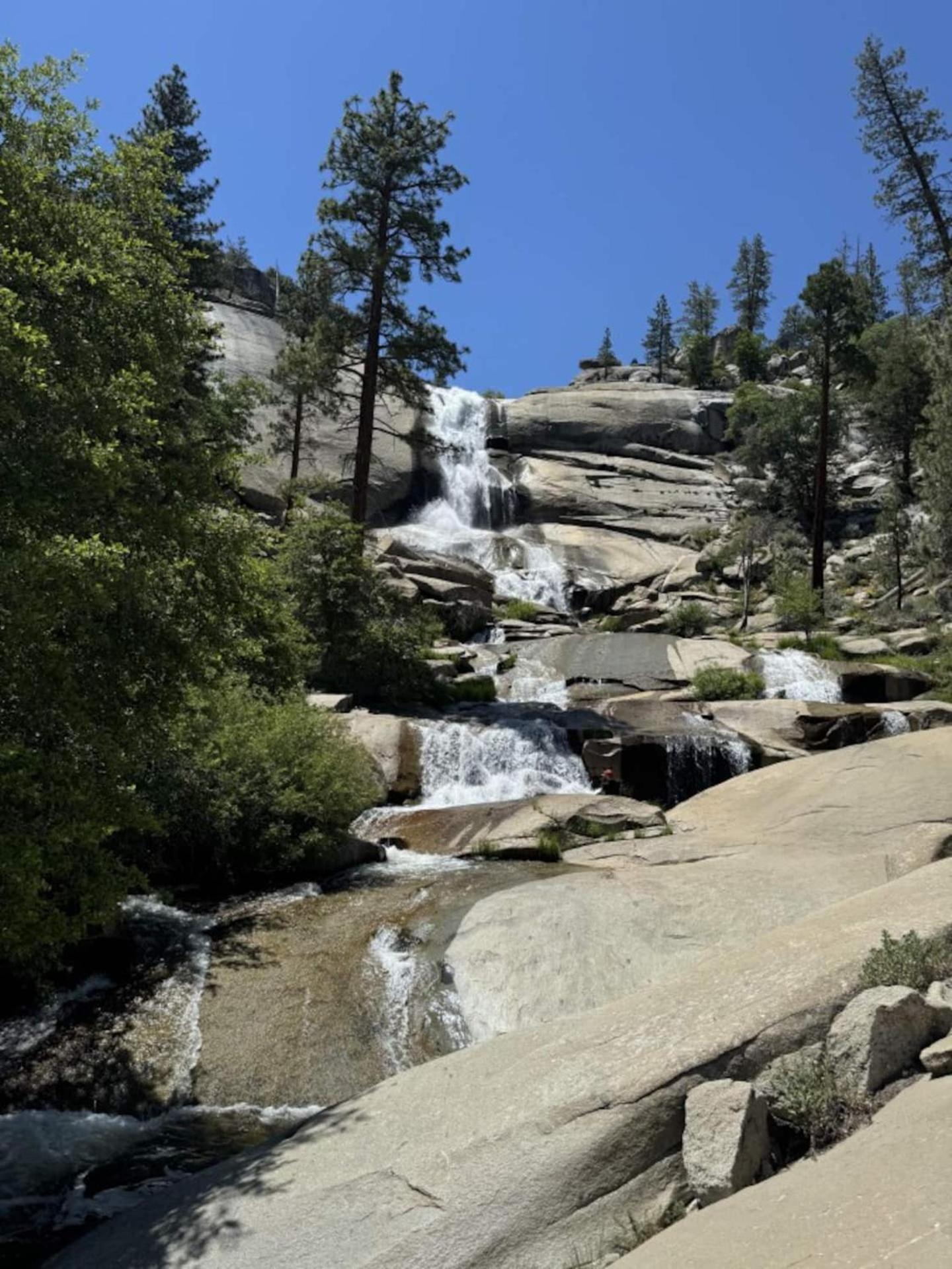 Peppermint Falls Ranch Ponderosa Ngoại thất bức ảnh
