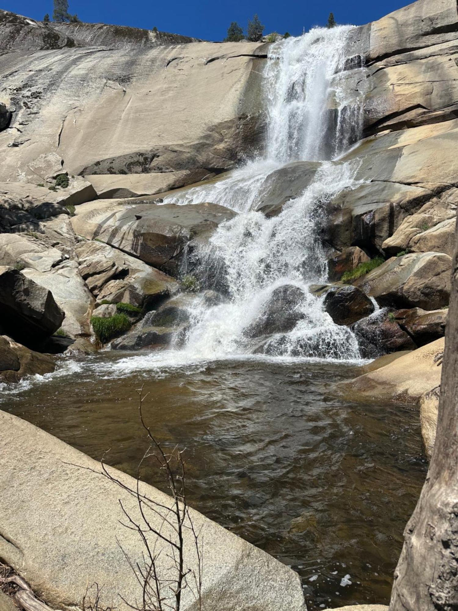 Peppermint Falls Ranch Ponderosa Ngoại thất bức ảnh